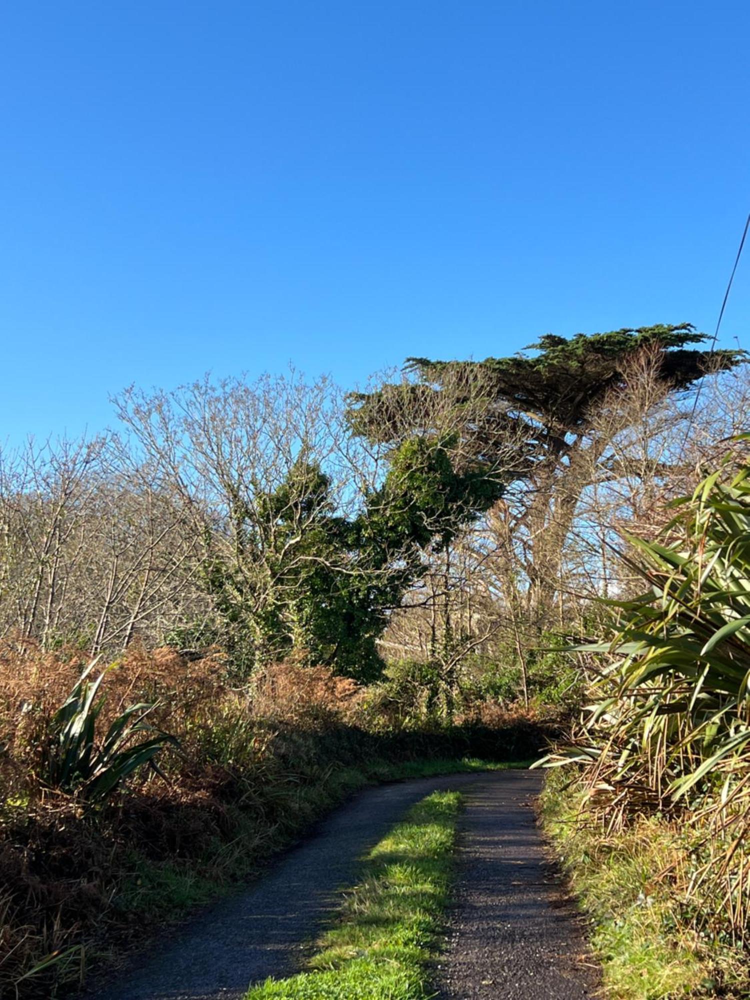 Ancaire Cottage Kilbronogue. Schull Luaran gambar